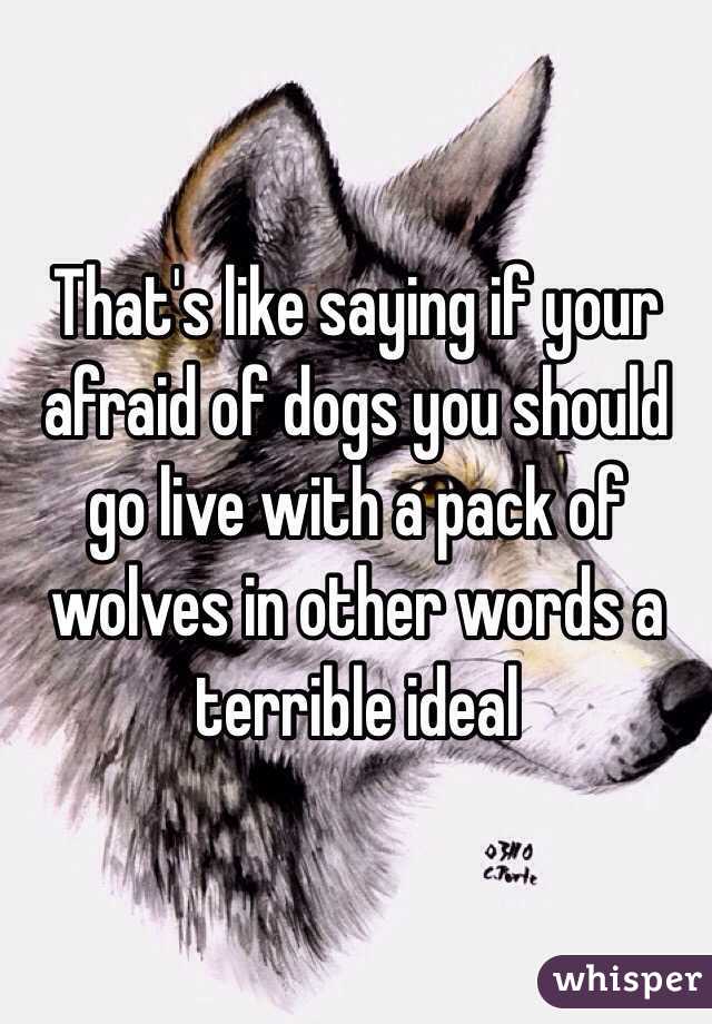 That's like saying if your afraid of dogs you should go live with a pack of wolves in other words a terrible ideal 