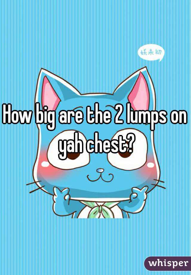 How big are the 2 lumps on yah chest?