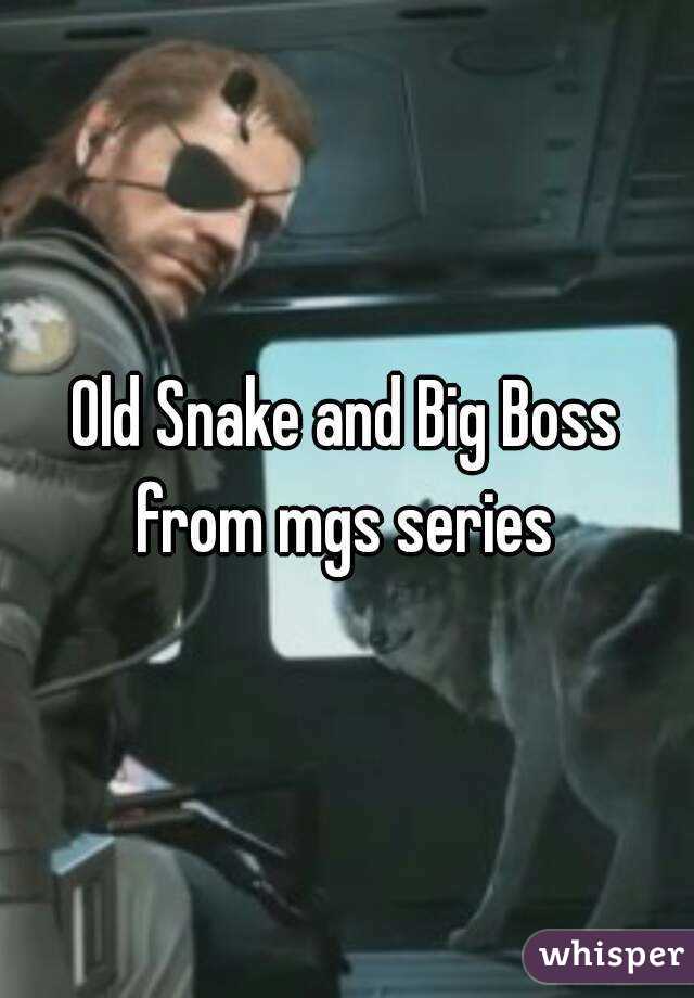 Old Snake and Big Boss from mgs series 