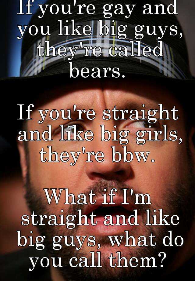 if-you-re-gay-and-you-like-big-guys-they-re-called-bears-if-you-re