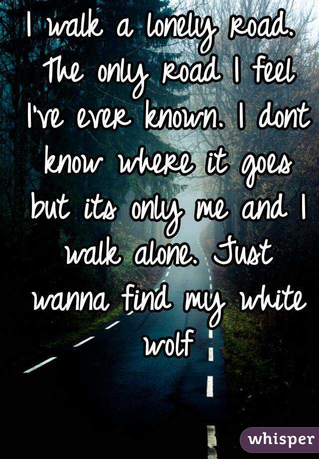 I walk a lonely road. The only road I feel I've ever known. I dont know where it goes but its only me and I walk alone. Just wanna find my white wolf