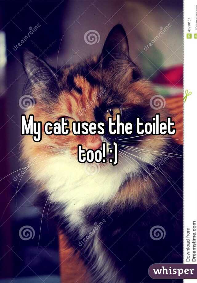 My cat uses the toilet too! :)