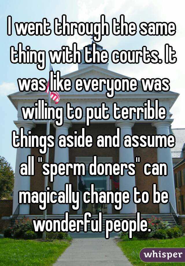 I went through the same thing with the courts. It was like everyone was willing to put terrible things aside and assume all "sperm doners" can magically change to be wonderful people. 