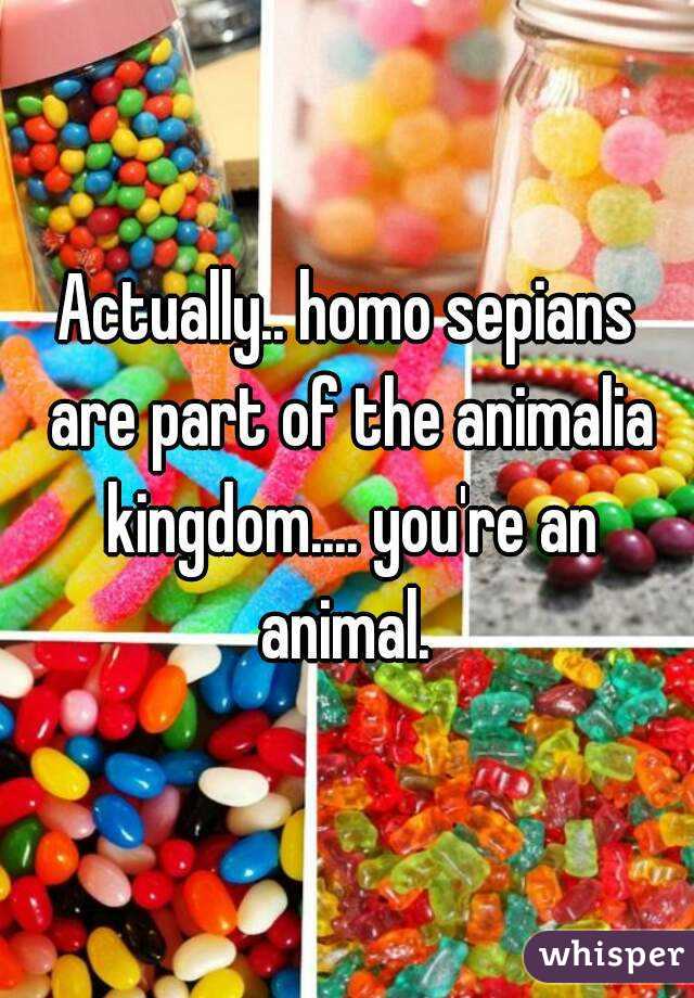 Actually.. homo sepians are part of the animalia kingdom.... you're an animal. 