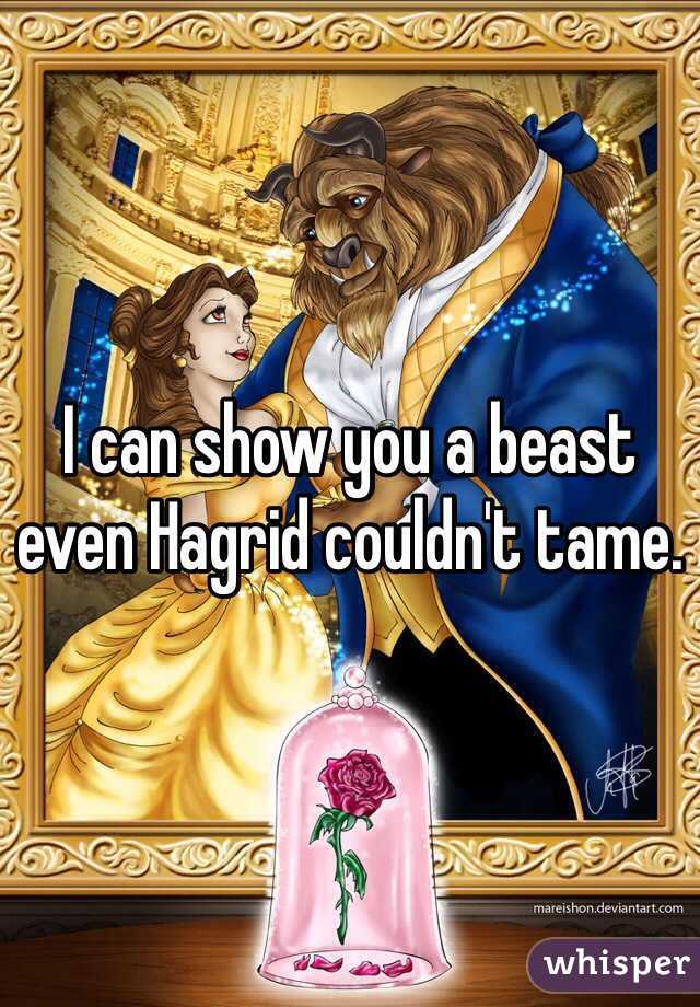 I can show you a beast even Hagrid couldn't tame.
