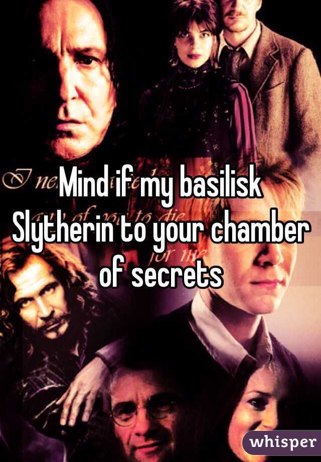 Mind if my basilisk Slytherin to your chamber of secrets  