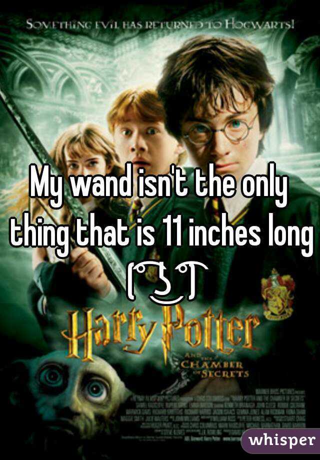 My wand isn't the only thing that is 11 inches long (͡° ͜ʖ ͡°)