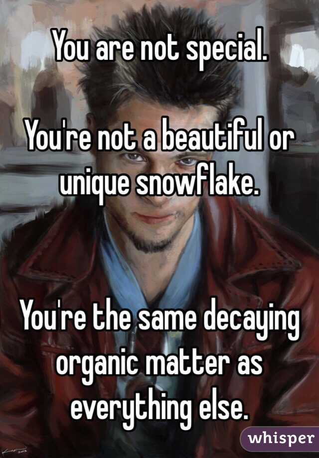 You are not special.

You're not a beautiful or unique snowflake.


You're the same decaying organic matter as everything else.