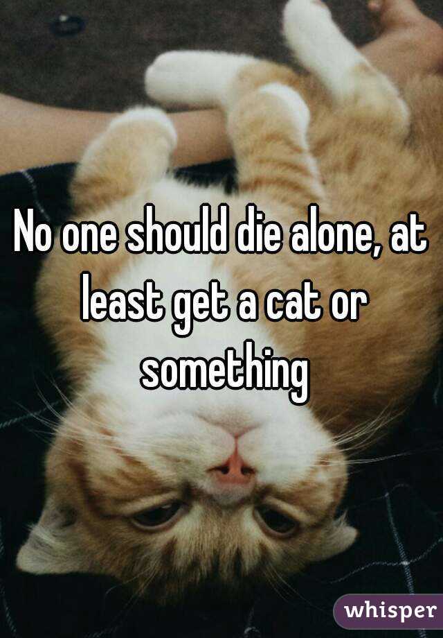 No one should die alone, at least get a cat or something