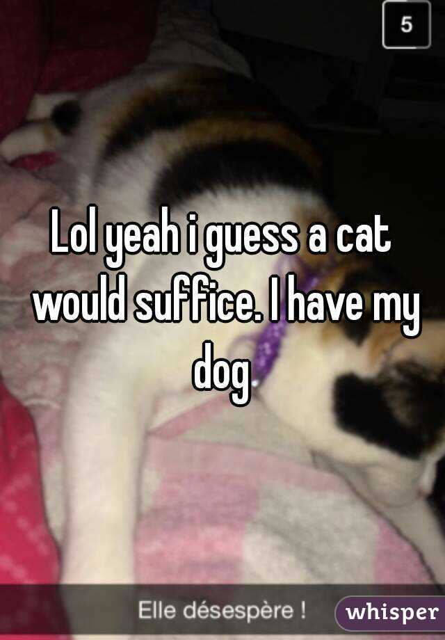 Lol yeah i guess a cat would suffice. I have my dog 