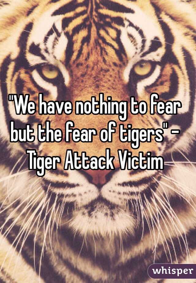 "We have nothing to fear but the fear of tigers" - Tiger Attack Victim