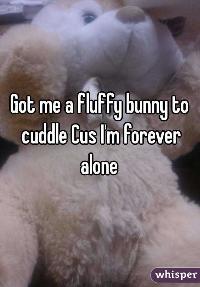 Got me a fluffy bunny to cuddle Cus I'm forever alone 
