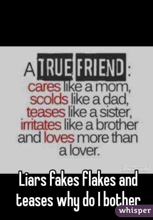 Liars fakes flakes and teases why do I bother