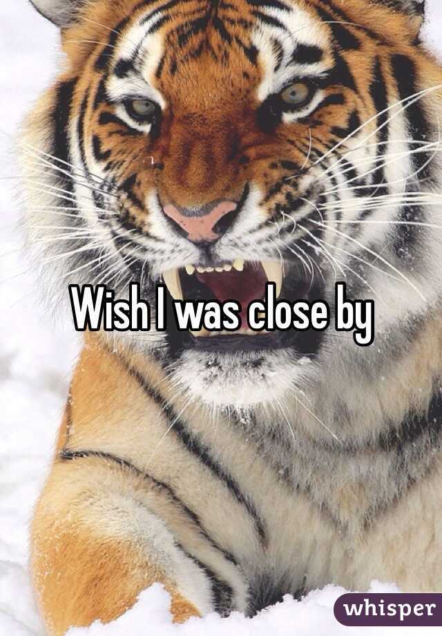 Wish I was close by