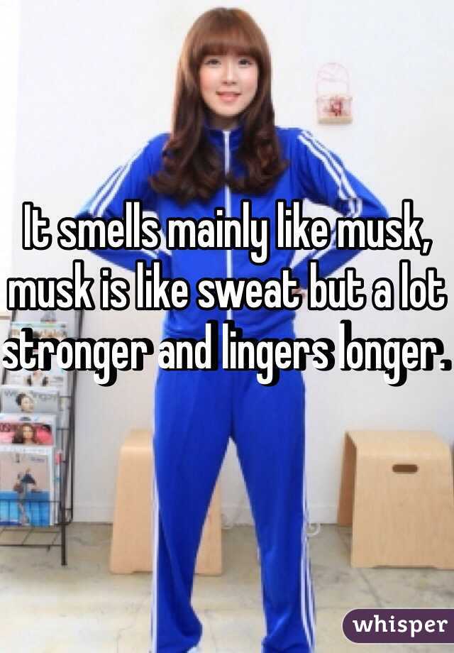 It smells mainly like musk, musk is like sweat but a lot stronger and lingers longer. 