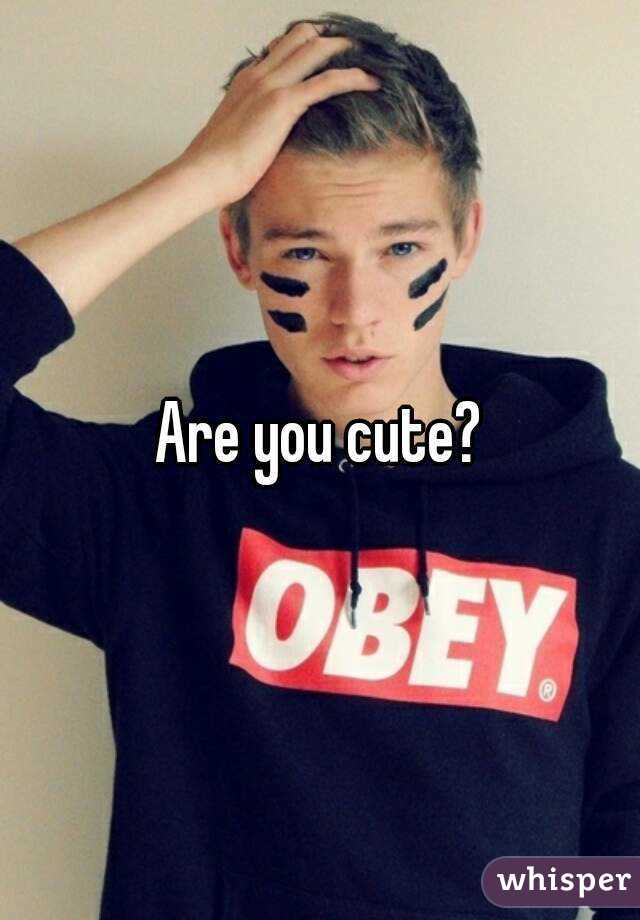 Are you cute?