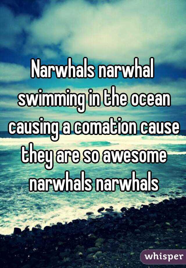 Narwhals narwhal swimming in the ocean causing a comation cause they are so awesome narwhals narwhals