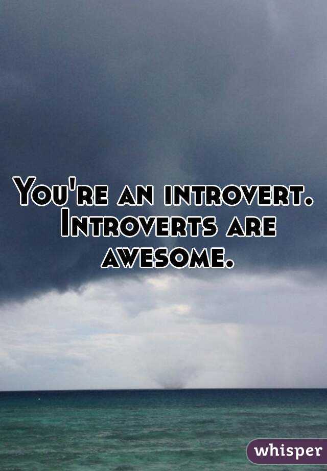 You're an introvert. Introverts are awesome.