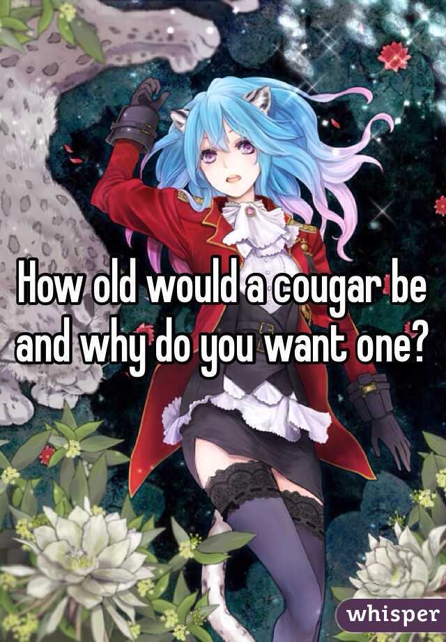 How old would a cougar be and why do you want one?