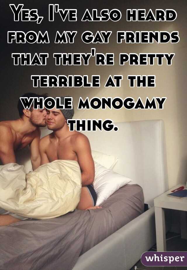 Yes, I've also heard from my gay friends that they're pretty terrible at the whole monogamy thing.  