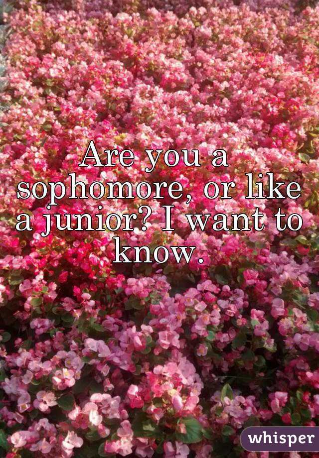 Are you a sophomore, or like a junior? I want to know.