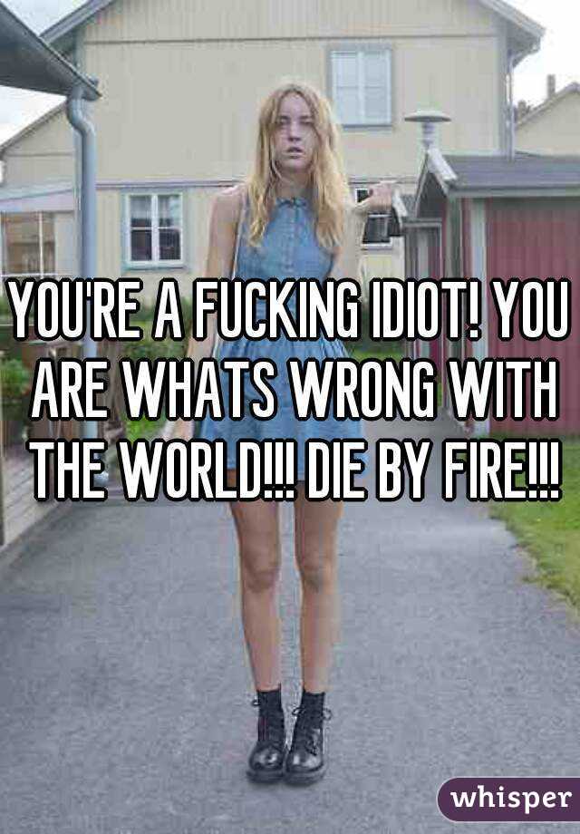 YOU'RE A FUCKING IDIOT! YOU ARE WHATS WRONG WITH THE WORLD!!! DIE BY FIRE!!!