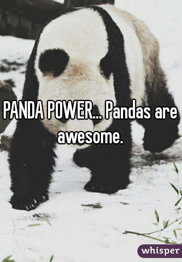 PANDA POWER... Pandas are awesome. 