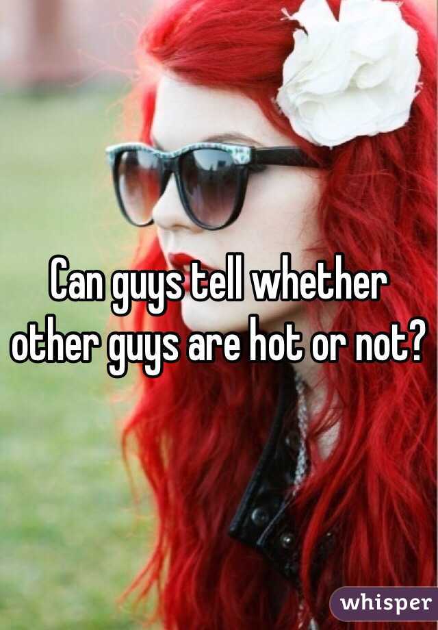 Can guys tell whether other guys are hot or not?