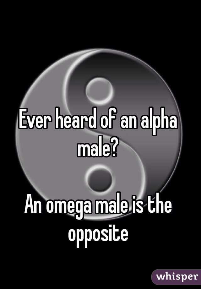 Ever heard of an alpha male?

An omega male is the opposite 