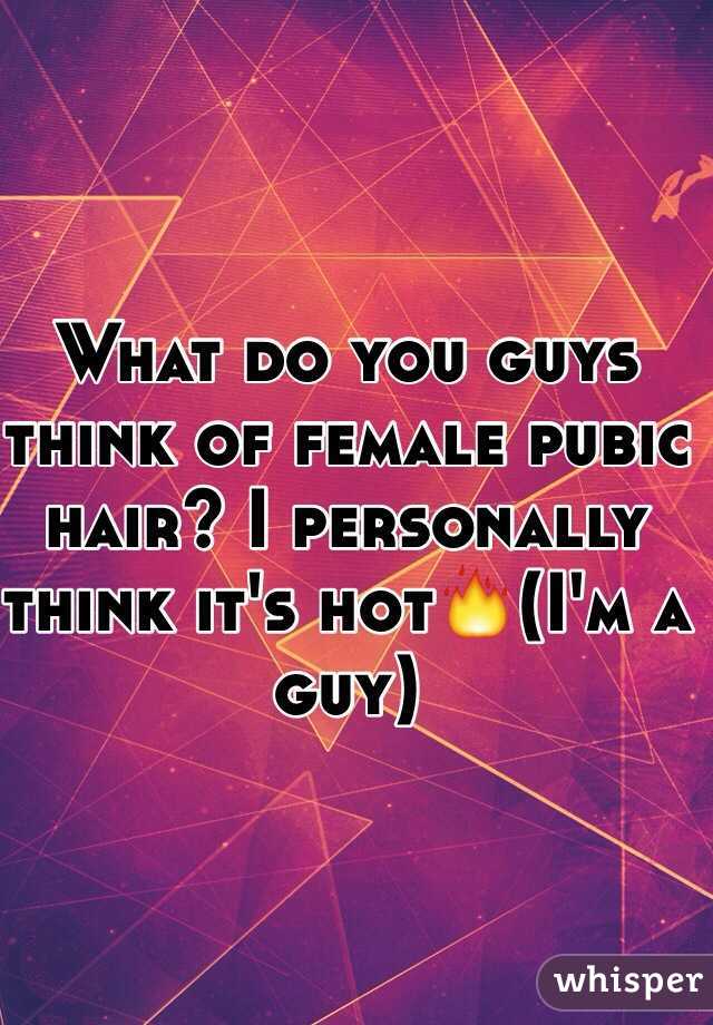 What do you guys think of female pubic hair? I personally think it's hot🔥(I'm a guy)