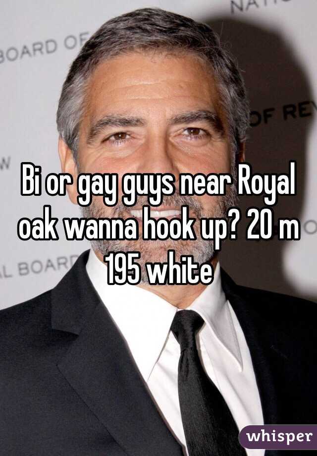 Bi or gay guys near Royal oak wanna hook up? 20 m 195 white