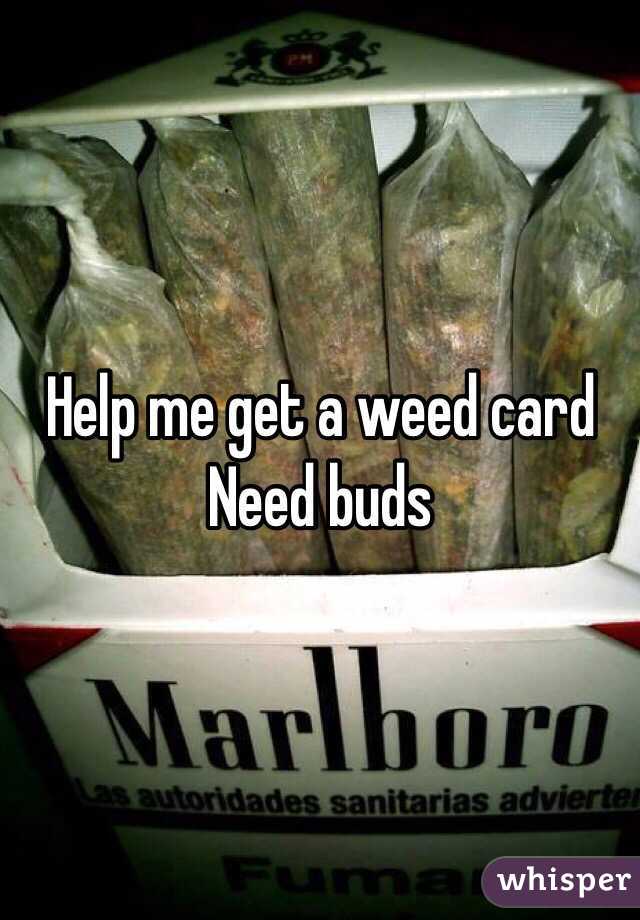 Help me get a weed card 
Need buds 
