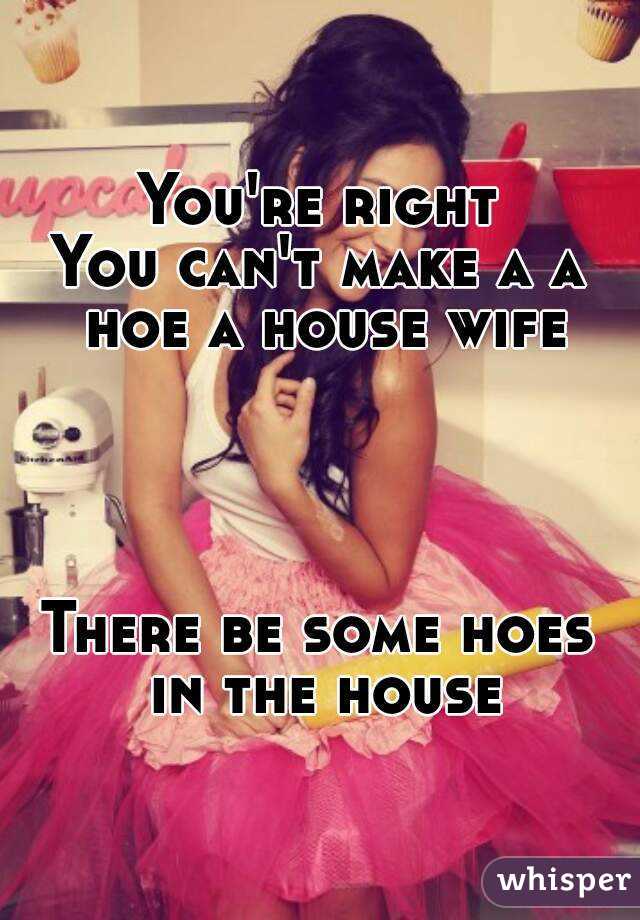 You're right
You can't make a a hoe a house wife




There be some hoes in the house