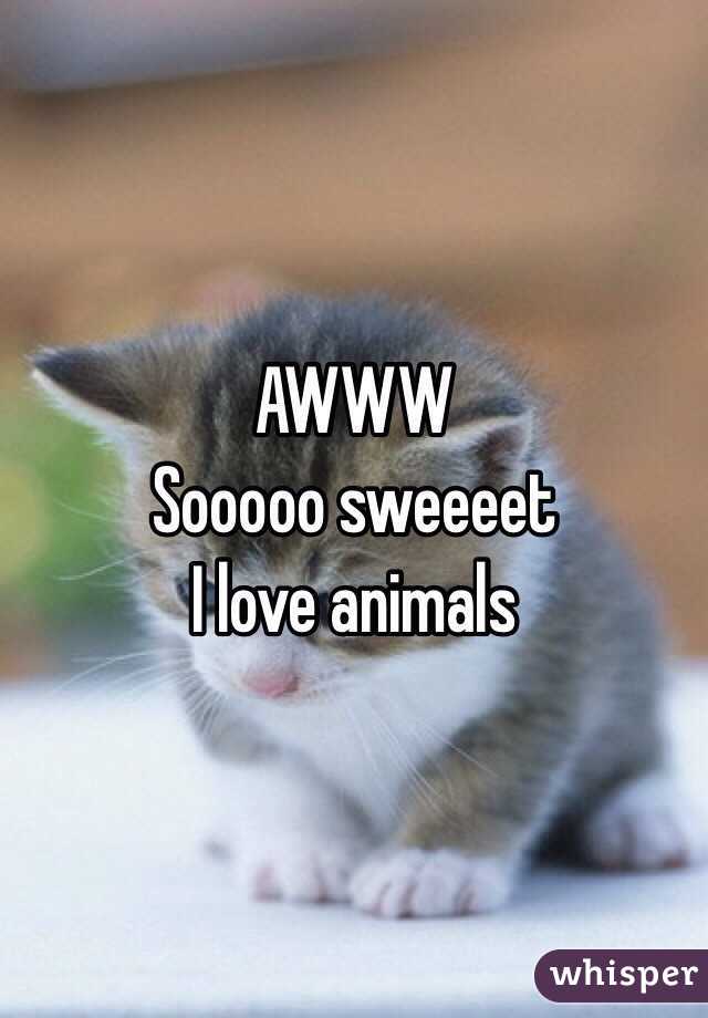 AWWW
Sooooo sweeeet 
I love animals