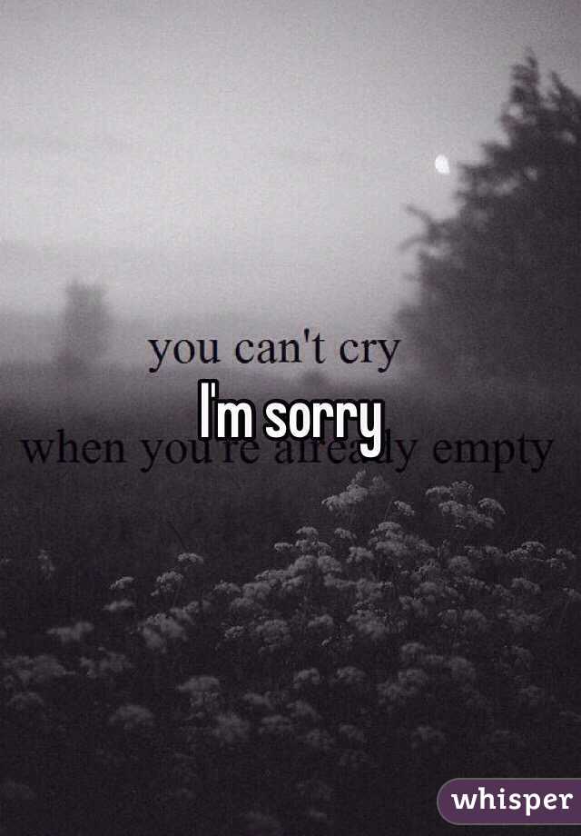 I'm sorry 