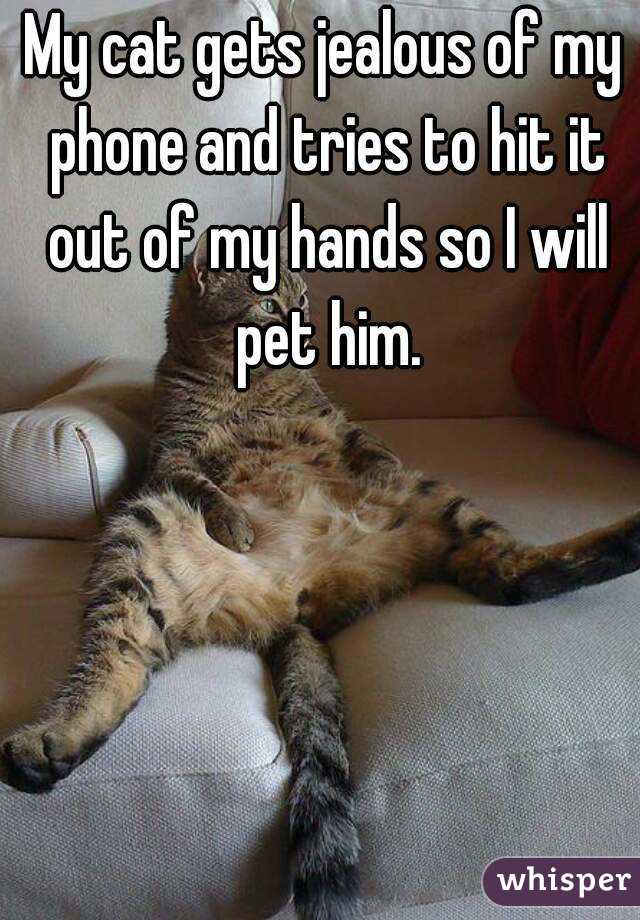 My cat gets jealous of my phone and tries to hit it out of my hands so I will pet him.