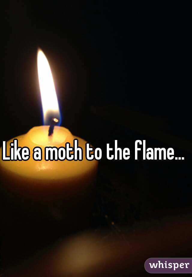 Like a moth to the flame... 