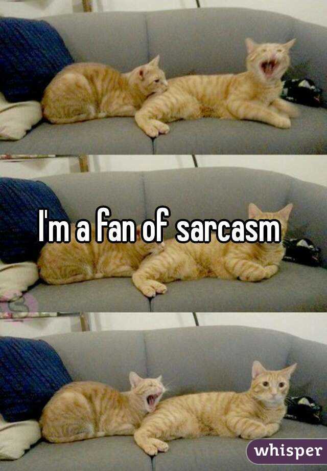 I'm a fan of sarcasm 