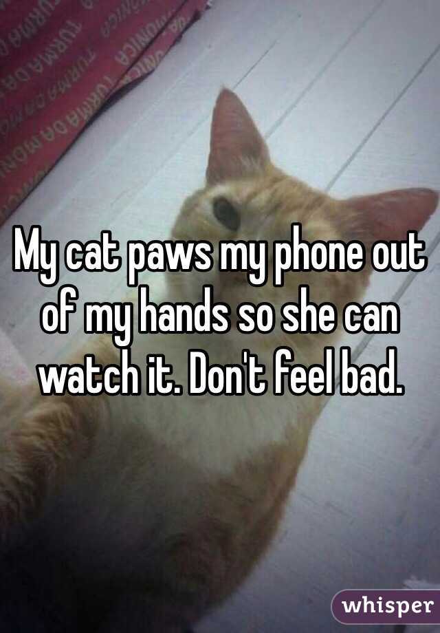 My cat paws my phone out of my hands so she can watch it. Don't feel bad.