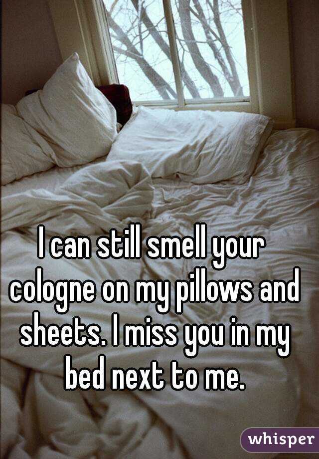 can still smell your cologne on my pillows and sheets. I miss you ...