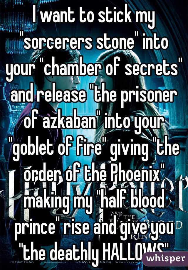 I want to stick my "sorcerers stone" into your "chamber of secrets" and release "the prisoner of azkaban" into your "goblet of fire" giving "the order of the Phoenix" making my "half blood prince" rise and give you "the deathly HALLOWS"