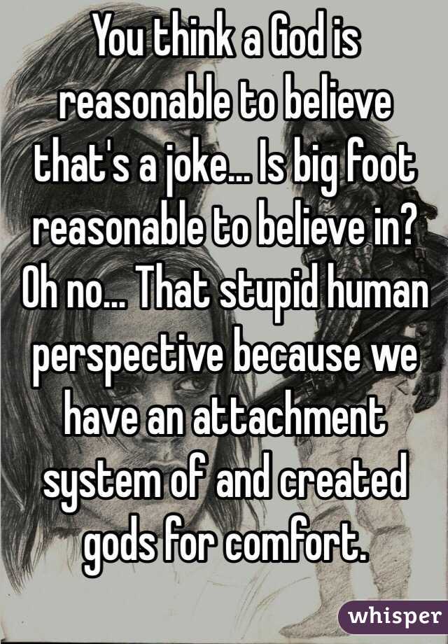 You think a God is reasonable to believe that's a joke... Is big foot reasonable to believe in? Oh no... That stupid human perspective because we have an attachment system of and created gods for comfort.