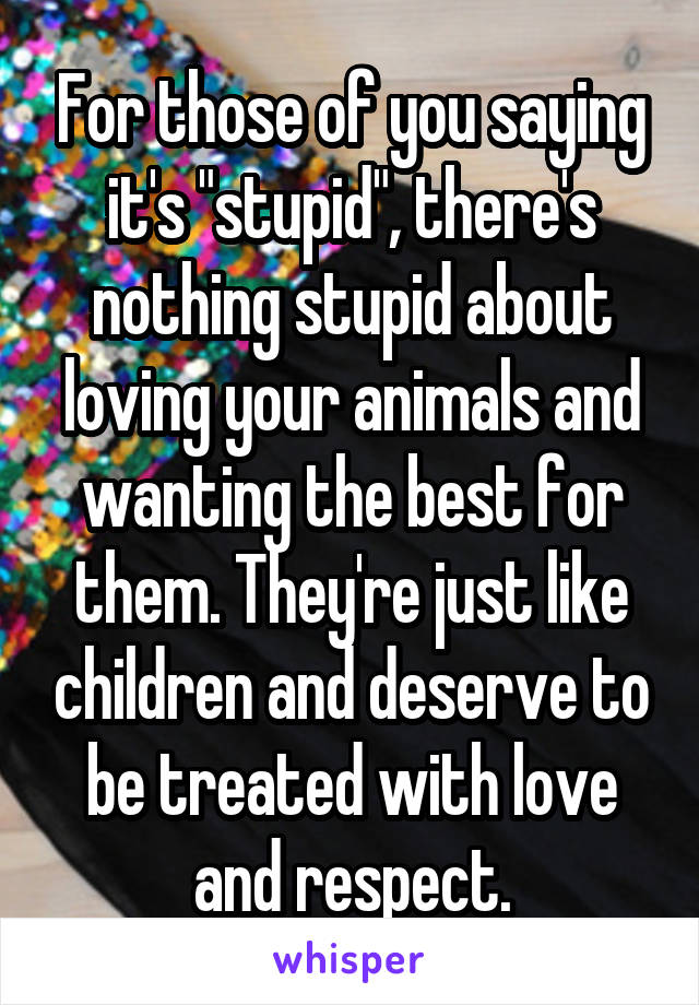 For those of you saying it's "stupid", there's nothing stupid about loving your animals and wanting the best for them. They're just like children and deserve to be treated with love and respect.