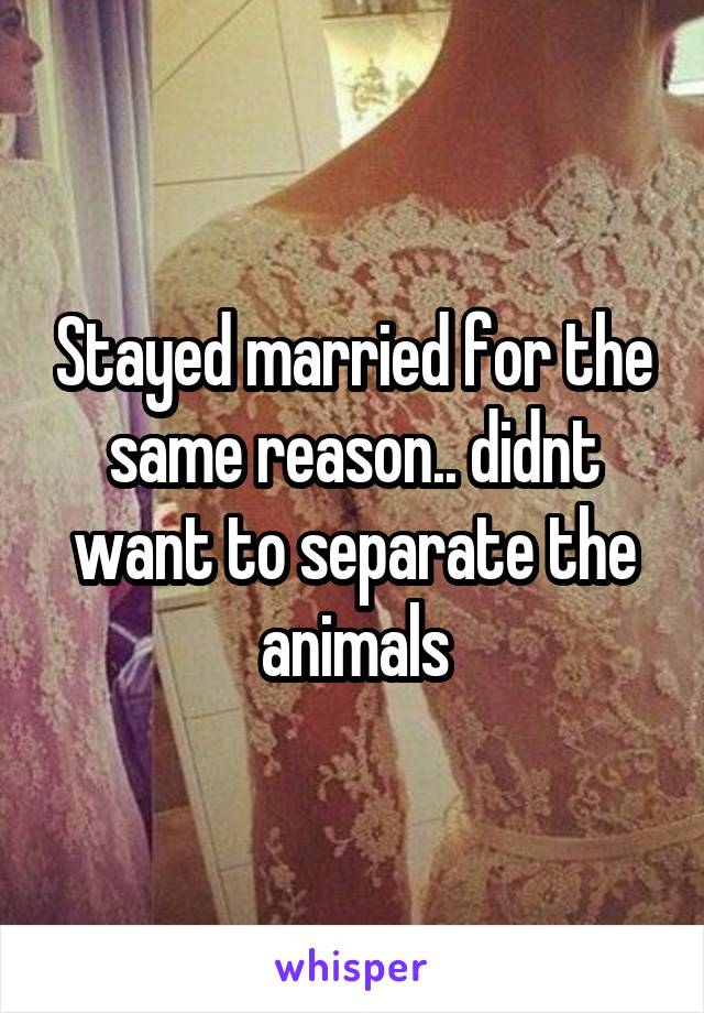 Stayed married for the same reason.. didnt want to separate the animals