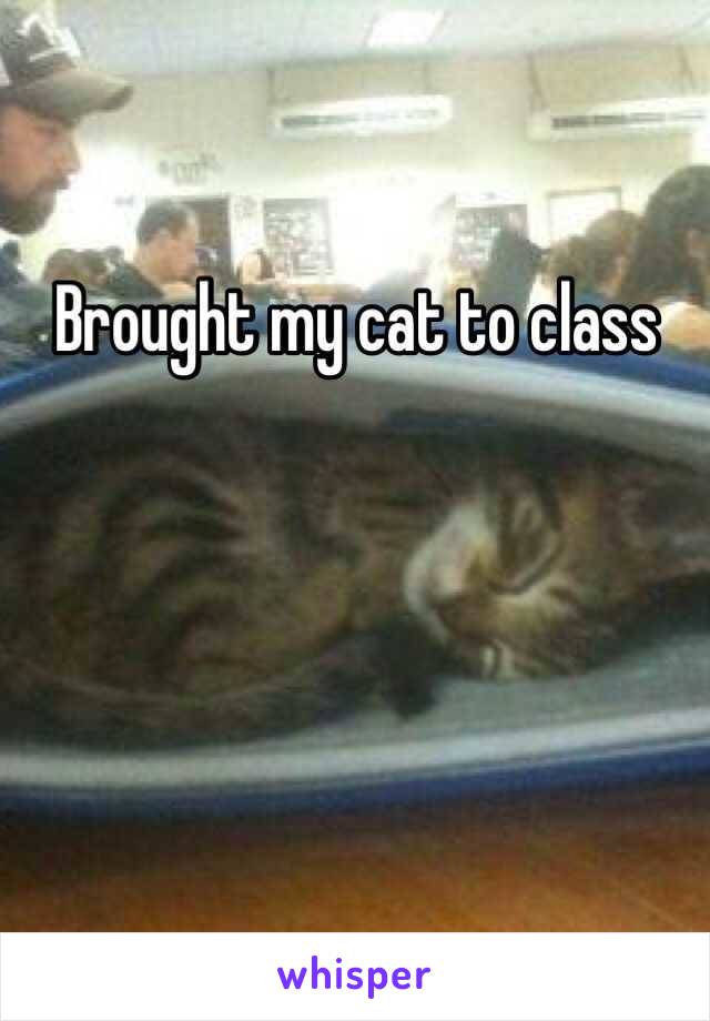 Brought my cat to class
