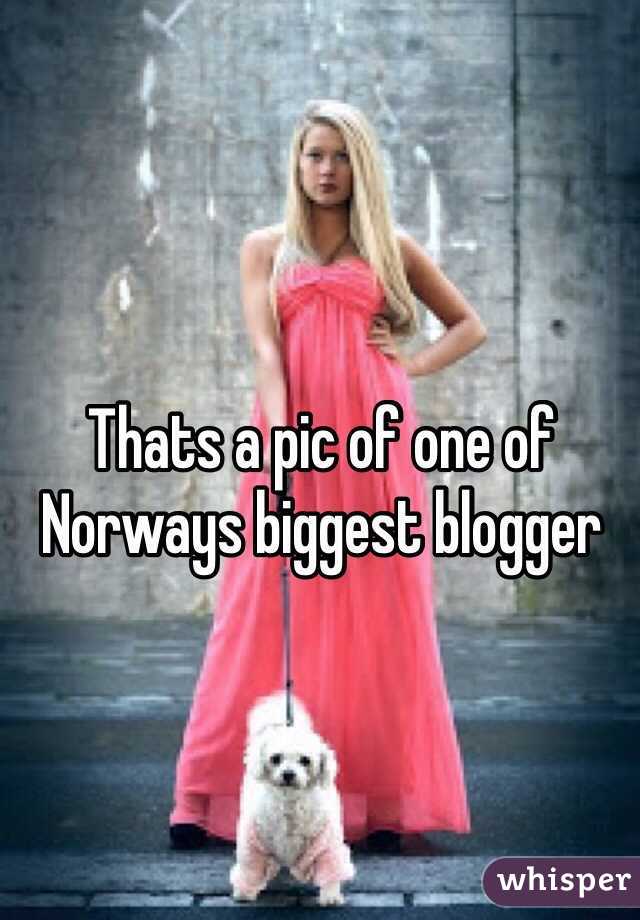 Thats a pic of one of Norways biggest blogger 