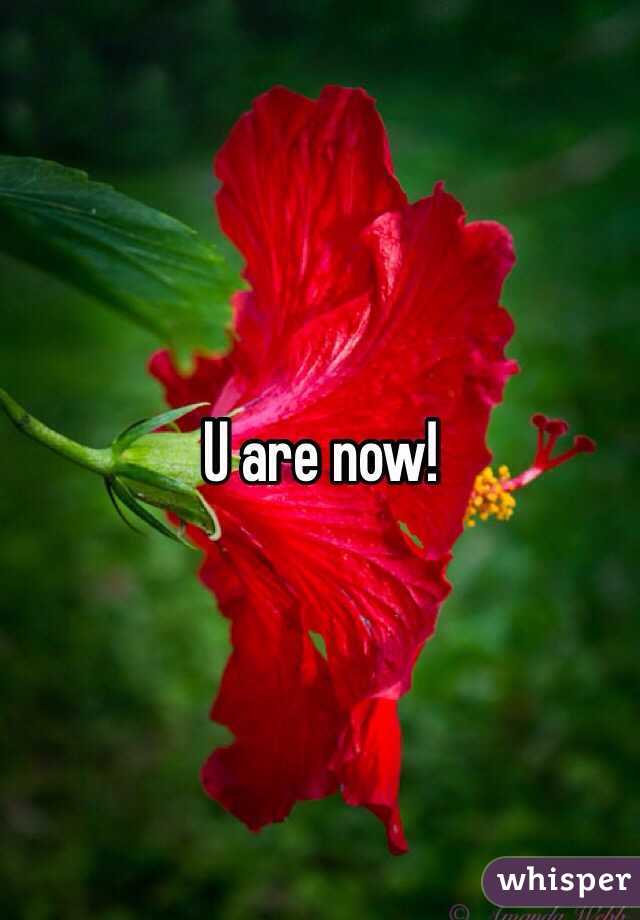 U are now!