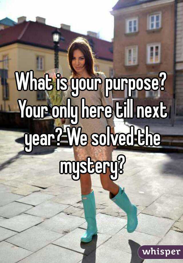 What is your purpose? Your only here till next year? We solved the mystery?