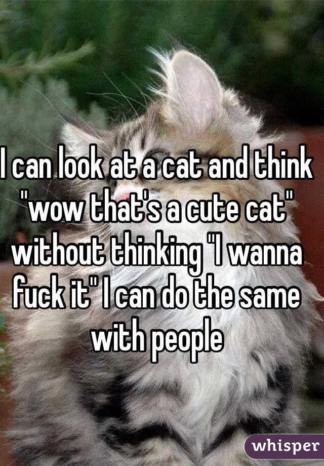 I can look at a cat and think "wow that's a cute cat" without thinking "I wanna fuck it" I can do the same with people 