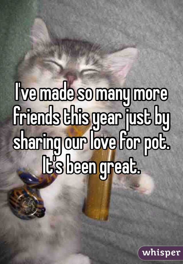 I've made so many more friends this year just by sharing our love for pot. It's been great.